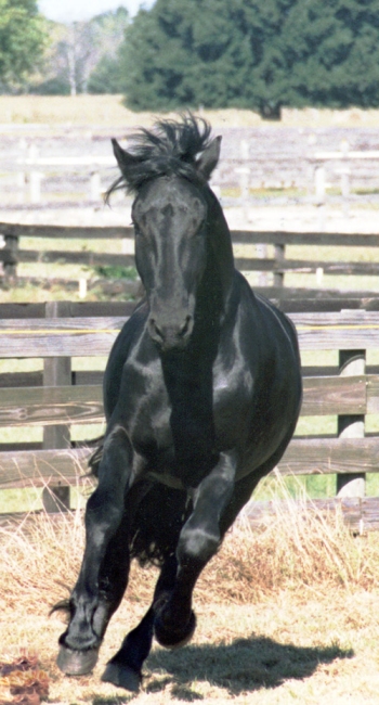 9428405414_28663623_o2