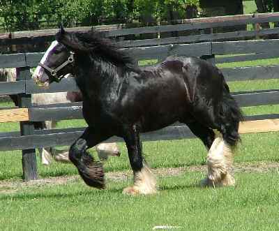 fea22852a7_28663557_o2