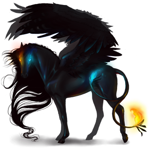 Black-Pegasus-Coats-the-new-howrse-32623056-300-300
