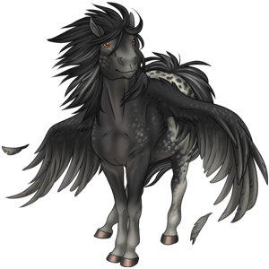 Black-Pegasus-Coats-the-new-howrse-32623071-300-300