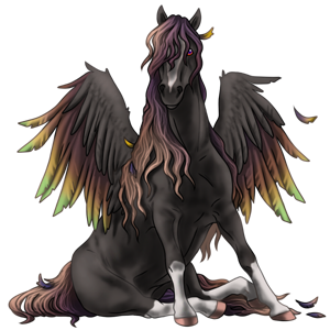 Black-Pegasus-Coats-the-new-howrse-32623074-300-300