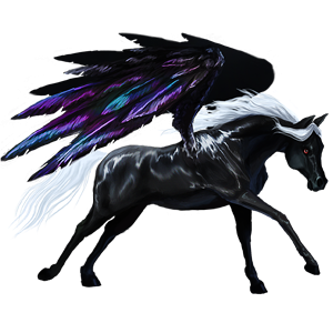 GA-Pegasus-Coats-the-new-howrse-32623148-300-300