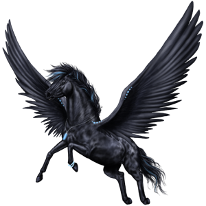 GA-Pegasus-Coats-the-new-howrse-32623162-300-300