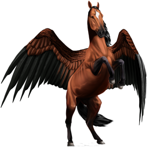 Pegasus-Coats-the-new-howrse-32623129-300-300
