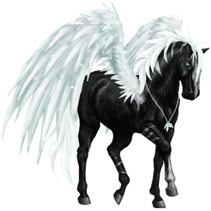 Pegasus-Coats-the-new-howrse-32623139-300-300