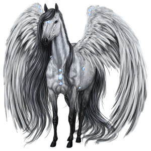 Pegasus-Coats-the-new-howrse-32623157-300-300