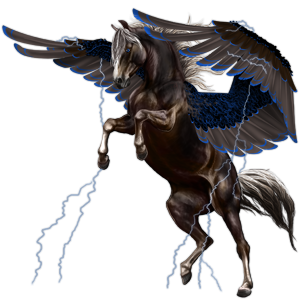 Pegasus-Coats-the-new-howrse-32623181-300-300