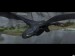 how_to_train_your_dragon_movie__2010__wallpapers_7
