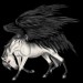 Black-Pegasus-Coats-the-new-howrse-32623053-300-300