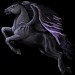 Black-Pegasus-Coats-the-new-howrse-32623061-300-300