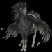 Black-Pegasus-Coats-the-new-howrse-32623071-300-300