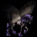 Black-Pegasus-Coats-the-new-howrse-32623072-300-300