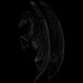 Black-Pegasus-Coats-the-new-howrse-32623075-300-300