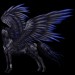 GA-Pegasus-Coats-the-new-howrse-32623178-300-300