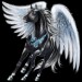 Pegasus-Coats-the-new-howrse-32623150-300-300