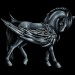 Pegasus-Coats-the-new-howrse-32623169-300-300