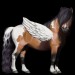 Pegasus-Coats-the-new-howrse-32623173-300-300
